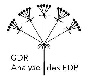 GDR Analyse des EDP